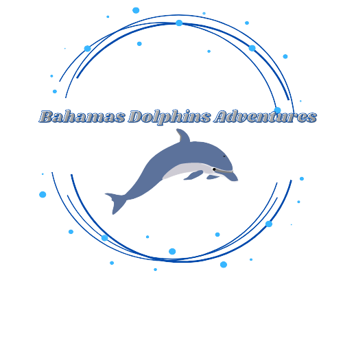 Bahamas Dolphins Adventures | Blue Lagoon Bahamas