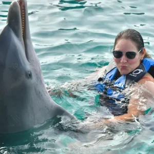 Dolphin Swim - Nassau Bahamas