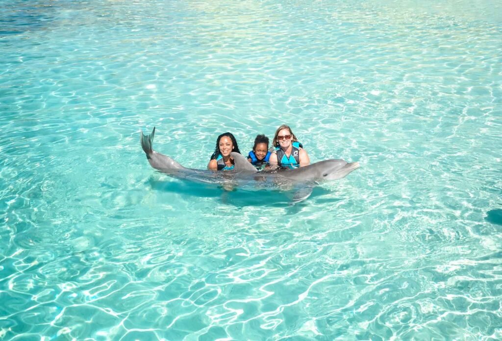 royal-dolphin-swim-family-with-dolphin-2026