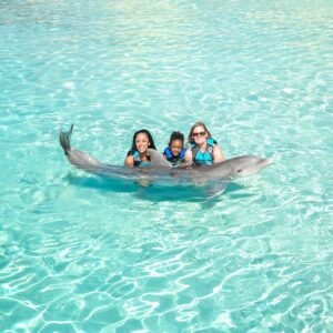 royal-dolphin-swim-family-with-dolphin-2026